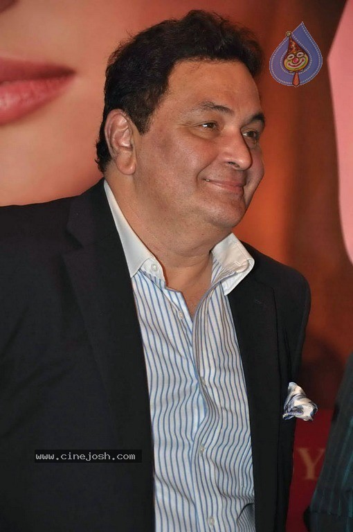 Say Yes to Love Movie Music Launch - 33 / 39 photos