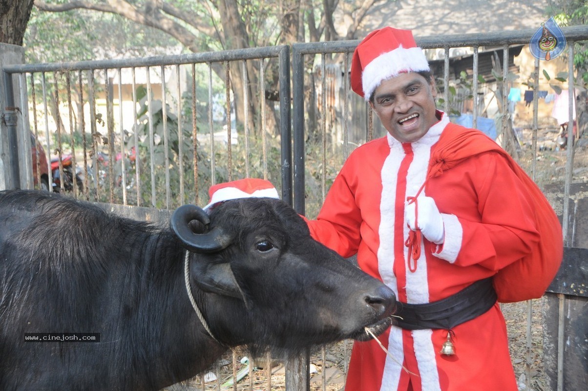 Shoot Wrap - Up and XMas Celebrations - 24 / 38 photos