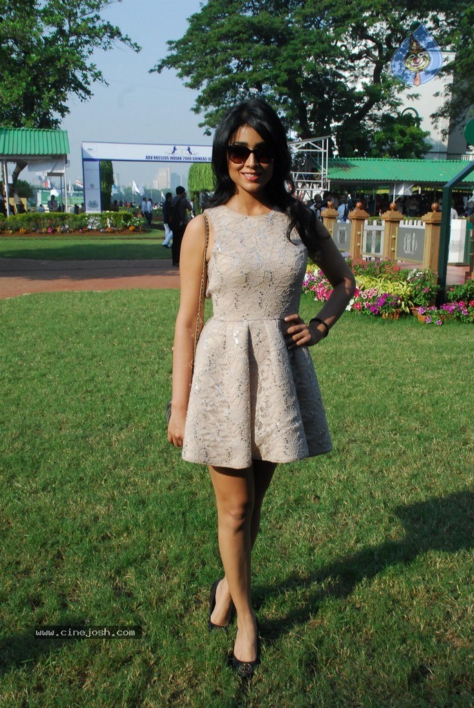 Shriya at ABC Nucleus Indian 2000 Guineas n Constellation Salver - 26 / 56 photos