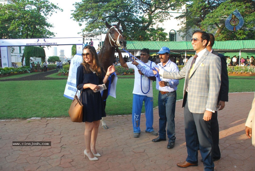 Shriya at ABC Nucleus Indian 2000 Guineas n Constellation Salver - 48 / 56 photos