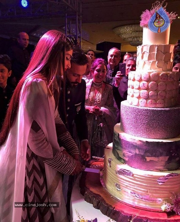 Sonam Kapoor - Anand Ahuja Reception Photos - 27 / 40 photos