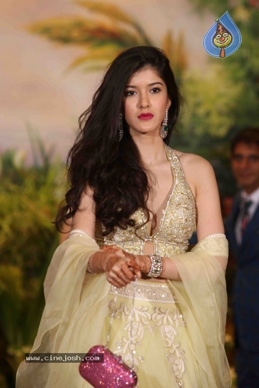 Sonam Kapoor And Anand Ahuja Wedding Reception Photos - 28 / 37 photos