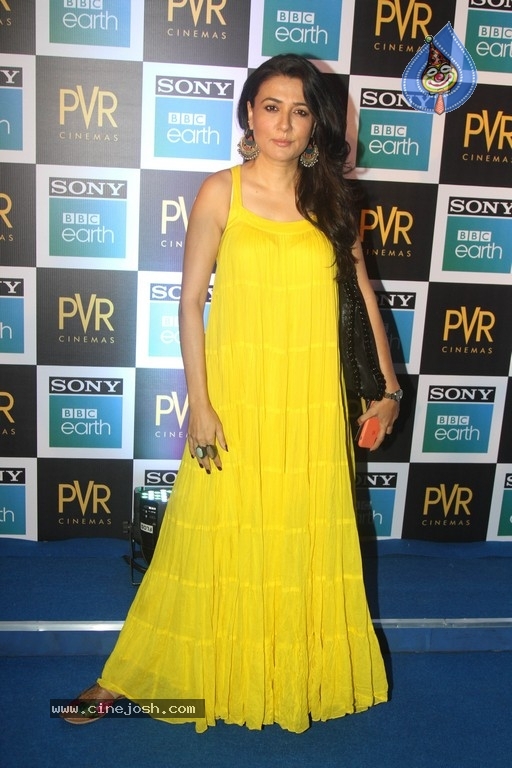 Sony BBC Earth film Blue Planet 2 Special Screening - 6 / 42 photos