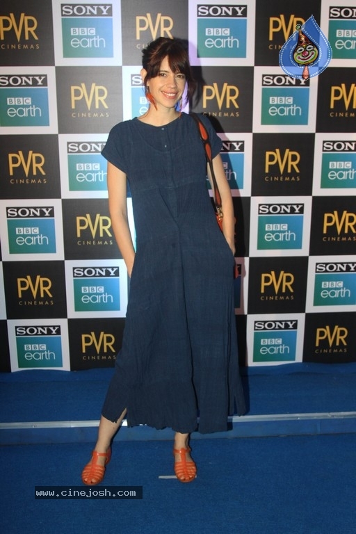 Sony BBC Earth film Blue Planet 2 Special Screening - 40 / 42 photos