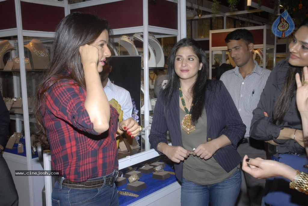 Sridevi at Trousseau Araaish Fund Raising Event - 15 / 45 photos