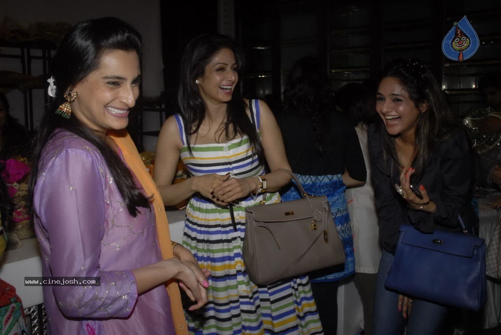 Sridevi at Trousseau Araaish Fund Raising Event - 22 / 45 photos