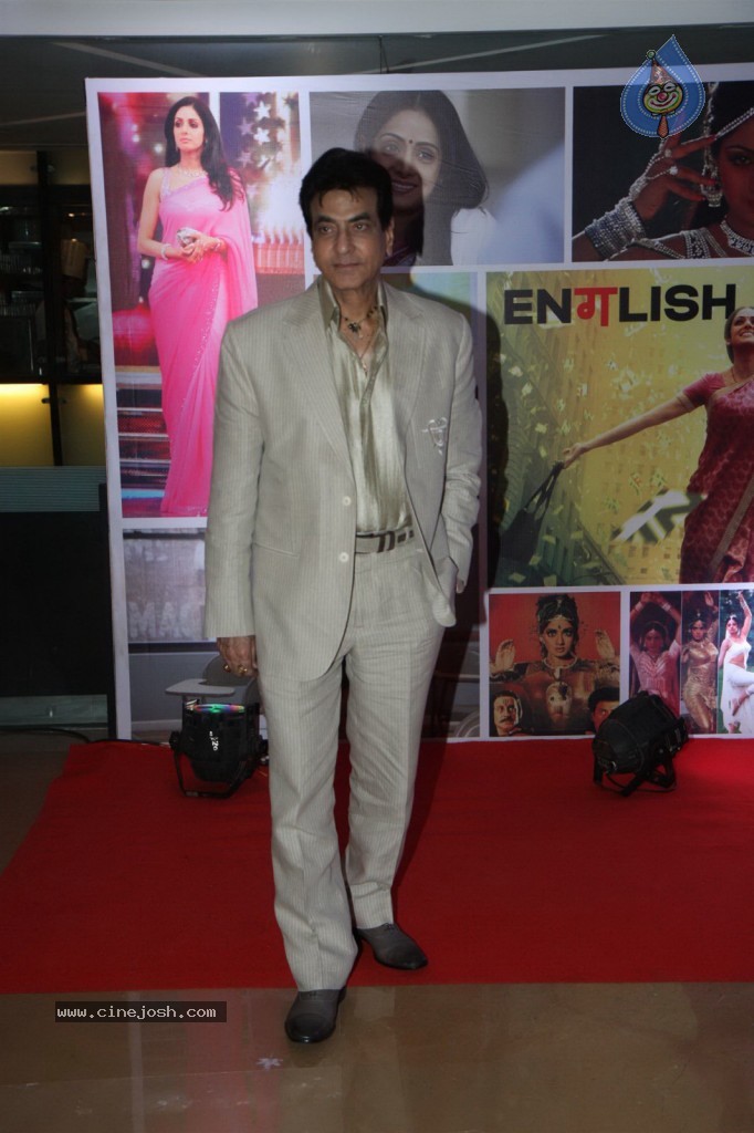 Sridevi Padmashri Award Special Party - 14 / 140 photos