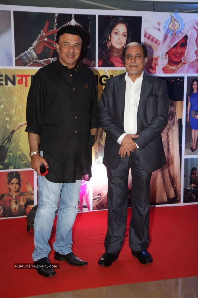 Sridevi Padmashri Award Special Party - 51 / 140 photos