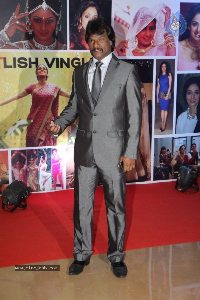 Sridevi Padmashri Award Special Party - 58 / 140 photos