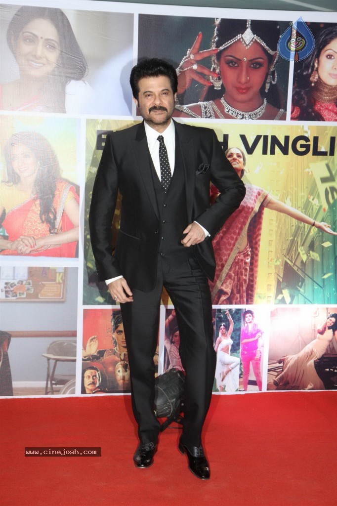 Sridevi Padmashri Award Special Party - 89 / 140 photos