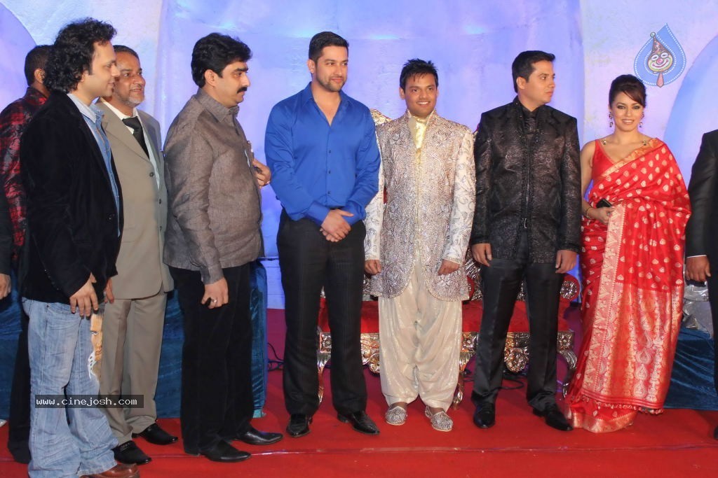 Suhail and Sandhya Wedding Reception - 15 / 53 photos