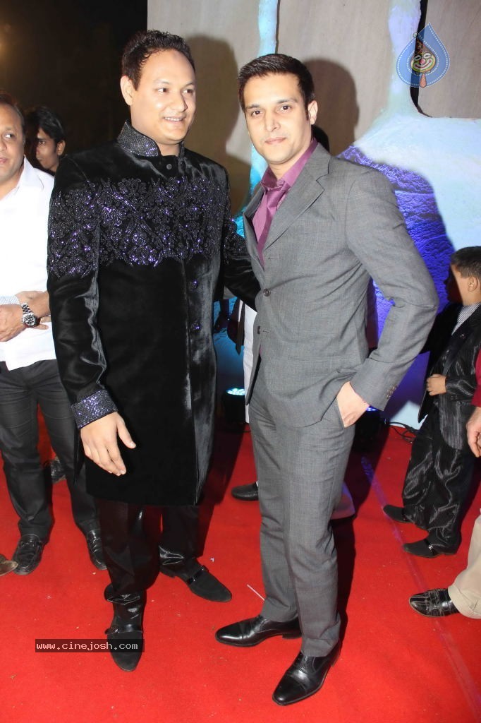 Suhail and Sandhya Wedding Reception - 20 / 53 photos