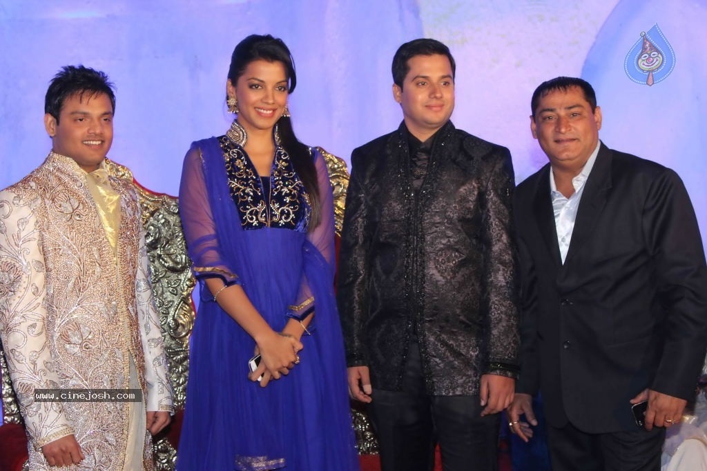 Suhail and Sandhya Wedding Reception - 22 / 53 photos