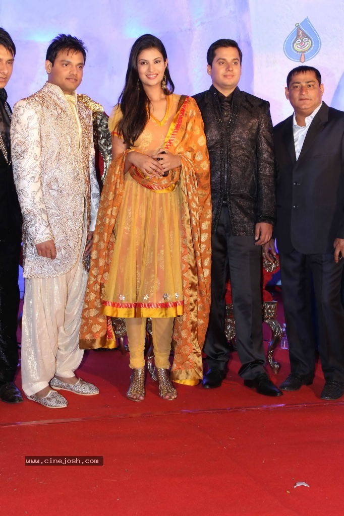 Suhail and Sandhya Wedding Reception - 33 / 53 photos