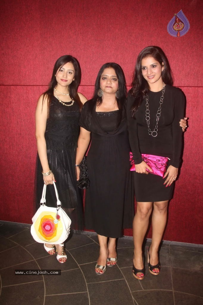 Sundown Tomatina Festival 2011 Press Meet - 1 / 16 photos