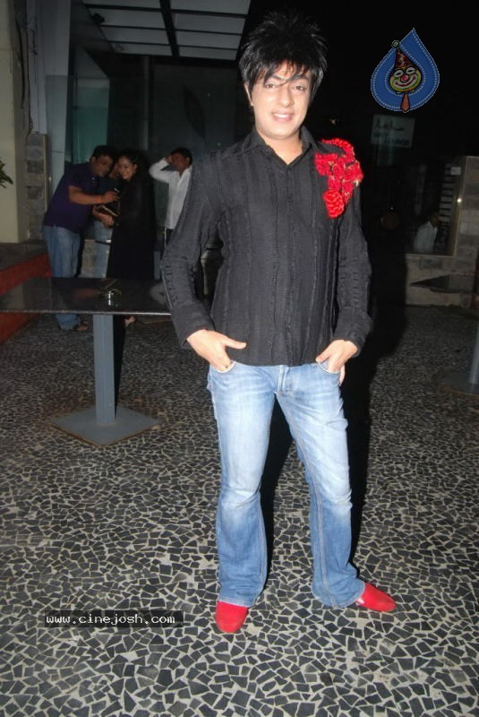 Tanaaz Irani Birthday Bash - 17 / 24 photos