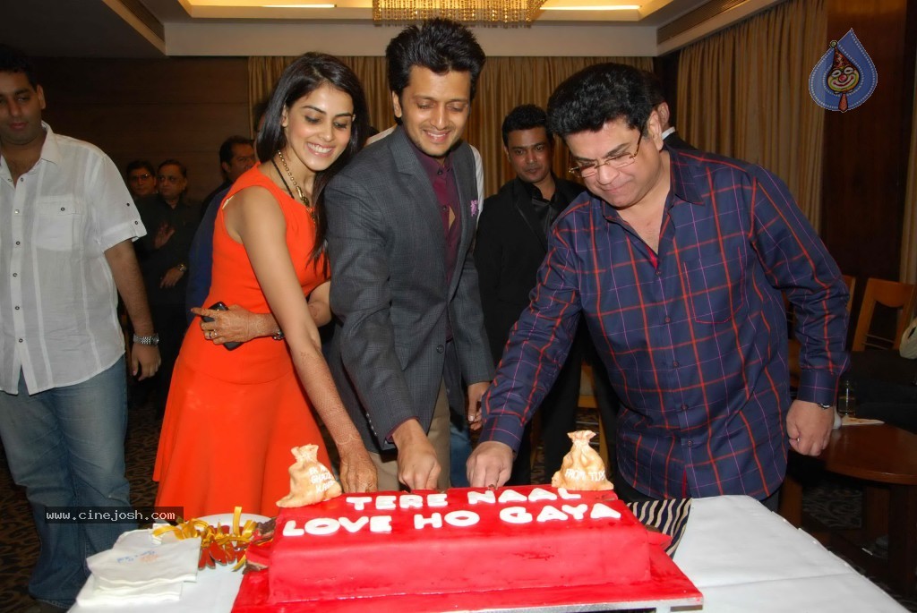 Tere Naal Love Ho Gaya Success Party - 50 / 57 photos