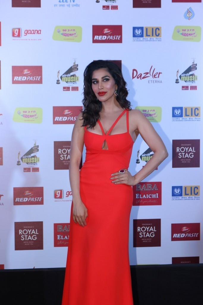 The Red Carpet of 9th Mirchi Music Awards - 75 / 105 photos