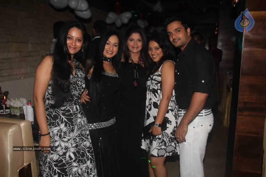 TV Actress Sangeeta Bday Party - 1 / 31 photos