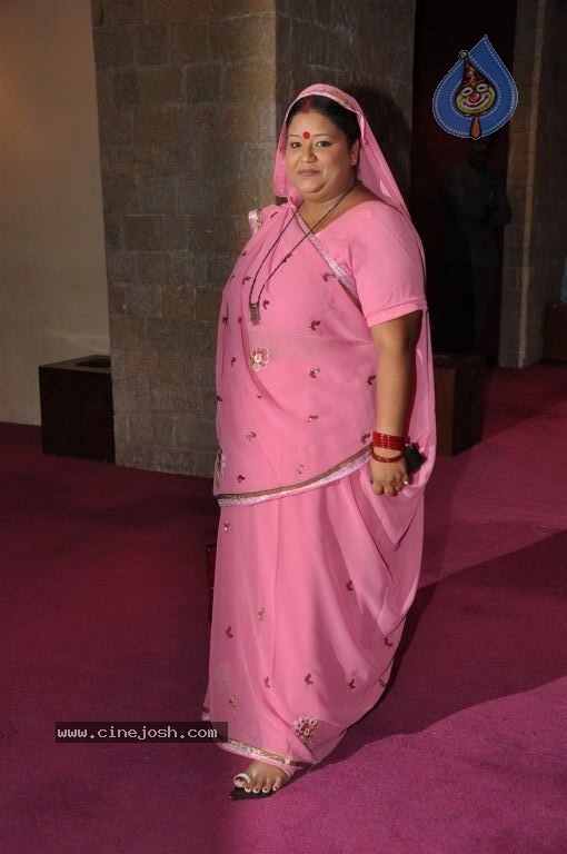 Tv Stars at SAB Ke Anokhe Awards - 27 / 50 photos