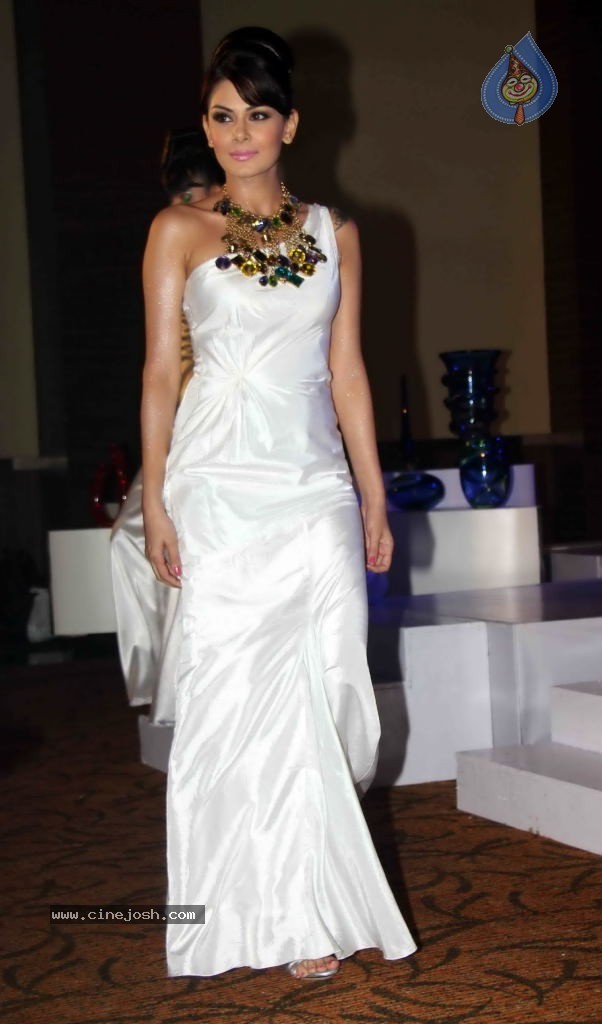 Vesteria High End Decor Showroom Launch - 22 / 67 photos