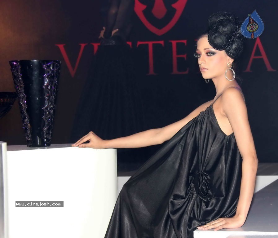 Vesteria High End Decor Showroom Launch - 30 / 67 photos