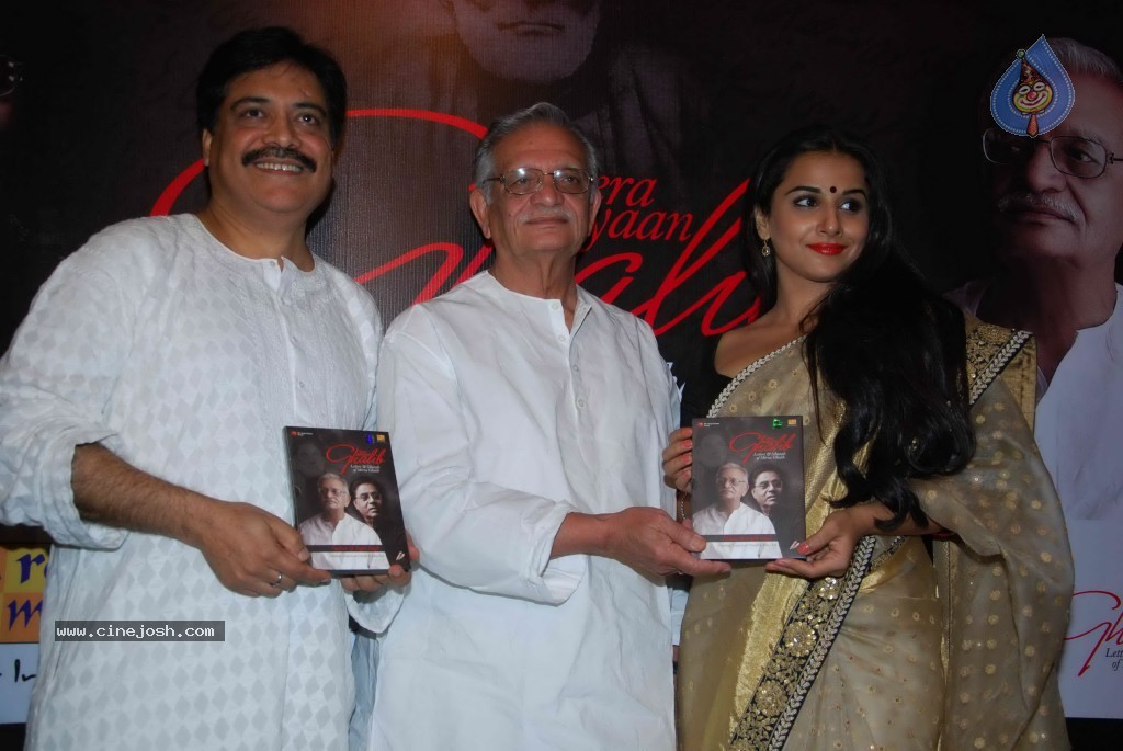Vidya Balan at Tera Bayaan Ghalib Album Launch - 10 / 48 photos