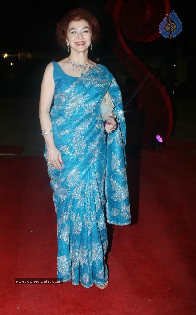 Vikaas Kalantri and Priyanka Chibber Wedding Reception - 11 / 148 photos