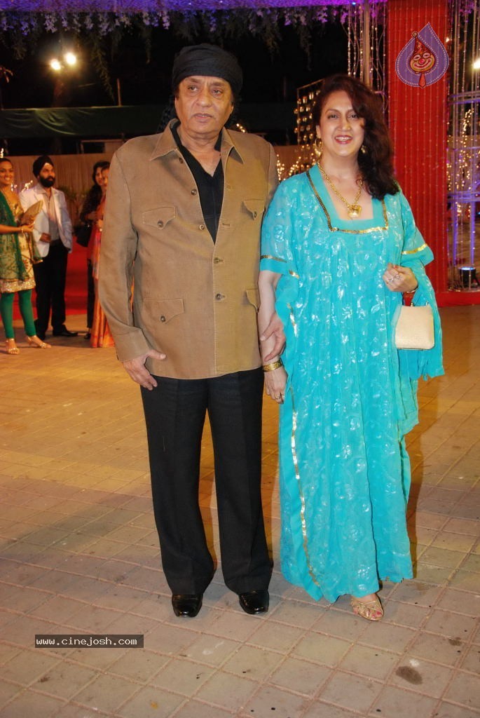 Vikaas Kalantri and Priyanka Chibber Wedding Reception - 13 / 148 photos