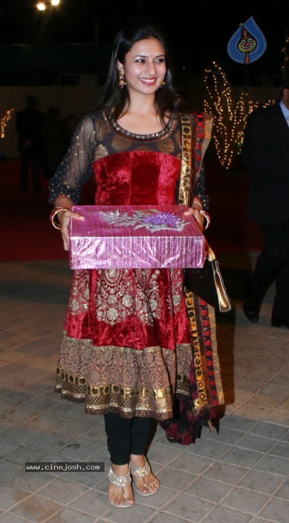 Vikaas Kalantri and Priyanka Chibber Wedding Reception - 92 / 148 photos