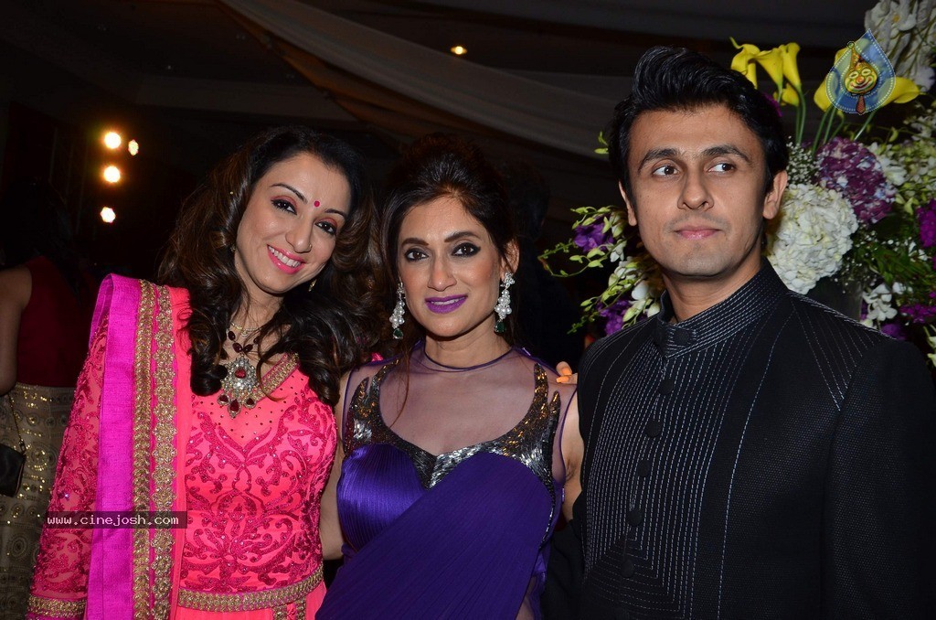 Vikram Singh Niece Shirin Sangeet Ceremony - 4 / 49 photos