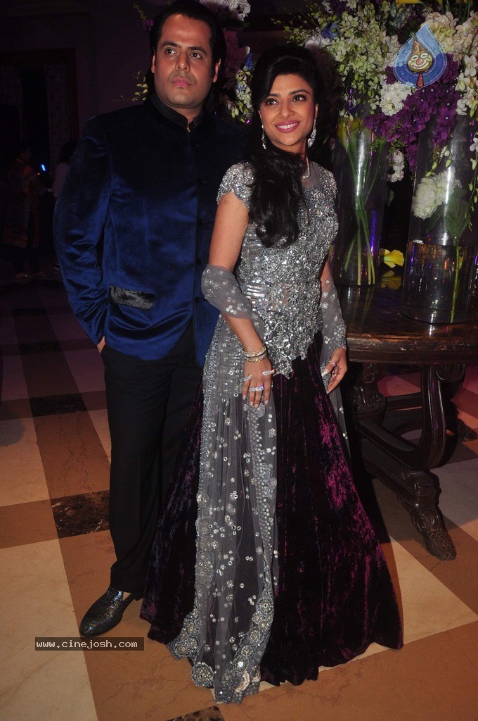 Vikram Singh Niece Shirin Sangeet Ceremony - 11 / 49 photos