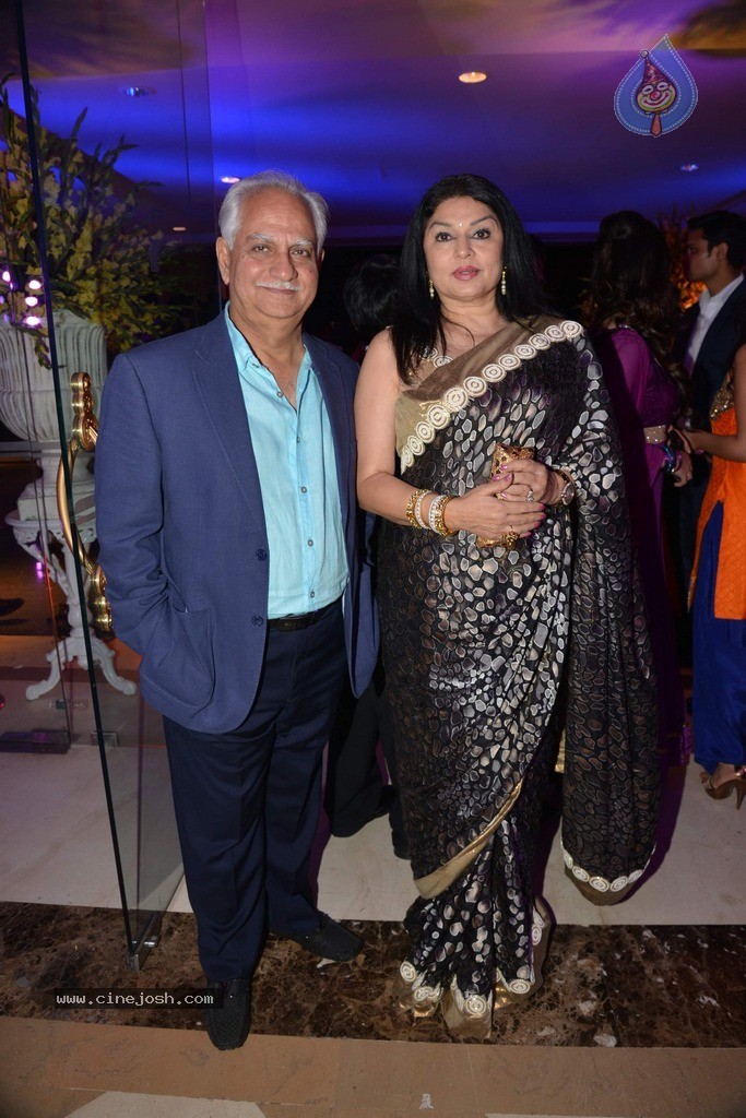 Vikram Singh Niece Shirin Sangeet Ceremony - 18 / 49 photos
