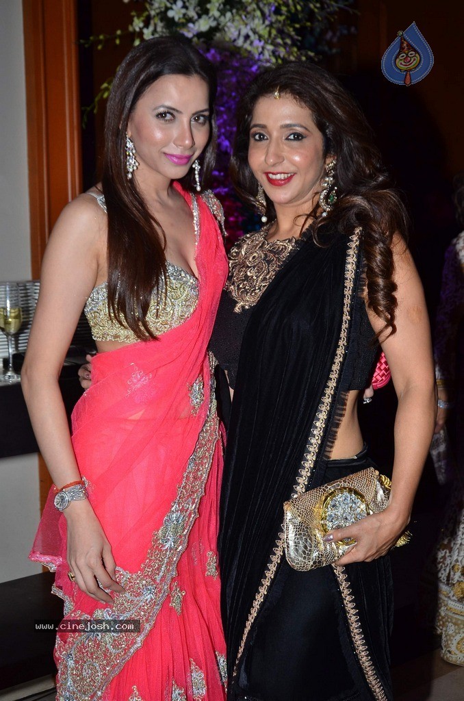 Vikram Singh Niece Shirin Sangeet Ceremony - 28 / 49 photos