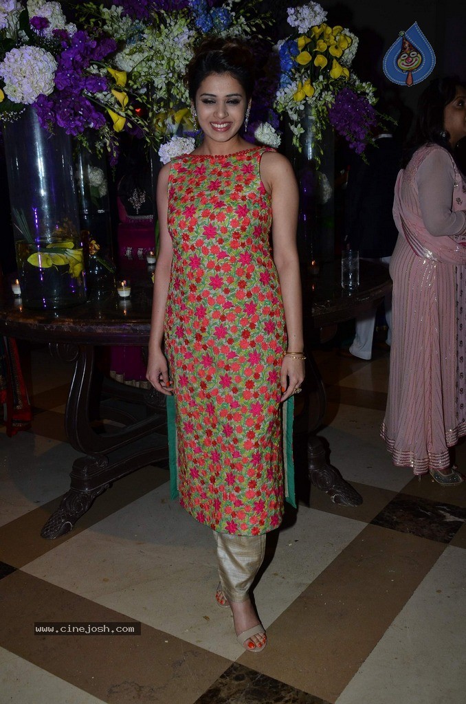 Vikram Singh Niece Shirin Sangeet Ceremony - 35 / 49 photos