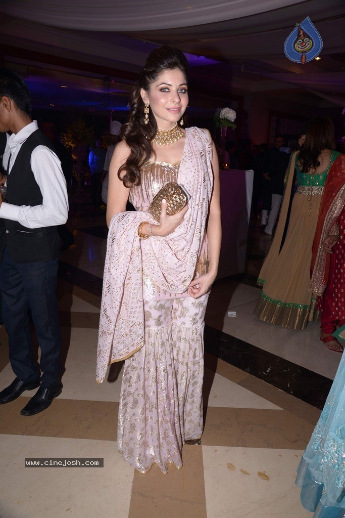 Vikram Singh Niece Shirin Sangeet Ceremony - 46 / 49 photos