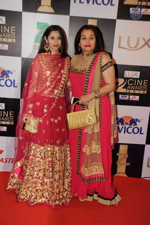 Zee Cine Awards 2016 Photos - 43 / 81 photos