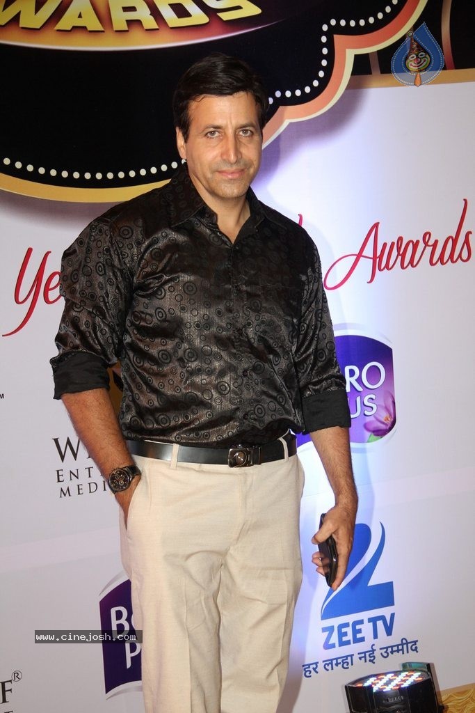 ZEE TV 8th Boroplus Gold Awards 2015 - 30 / 99 photos