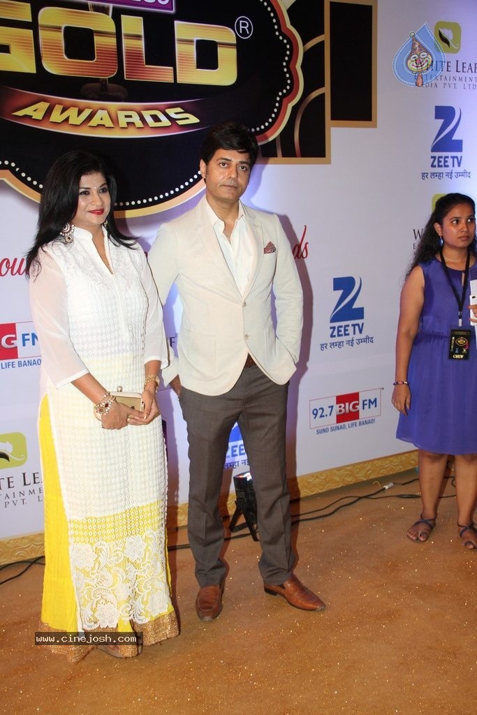 ZEE TV 8th Boroplus Gold Awards 2015 - 35 / 99 photos
