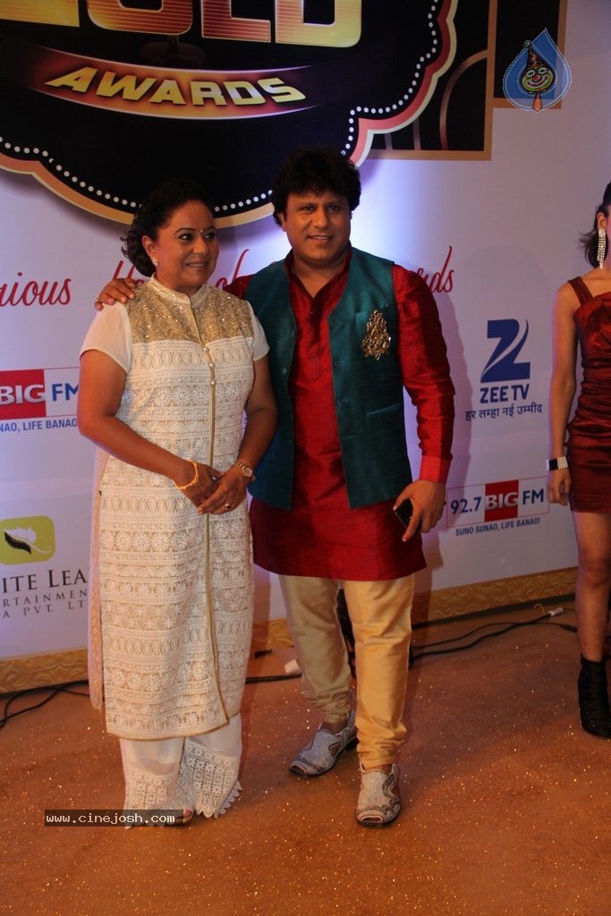 ZEE TV 8th Boroplus Gold Awards 2015 - 38 / 99 photos