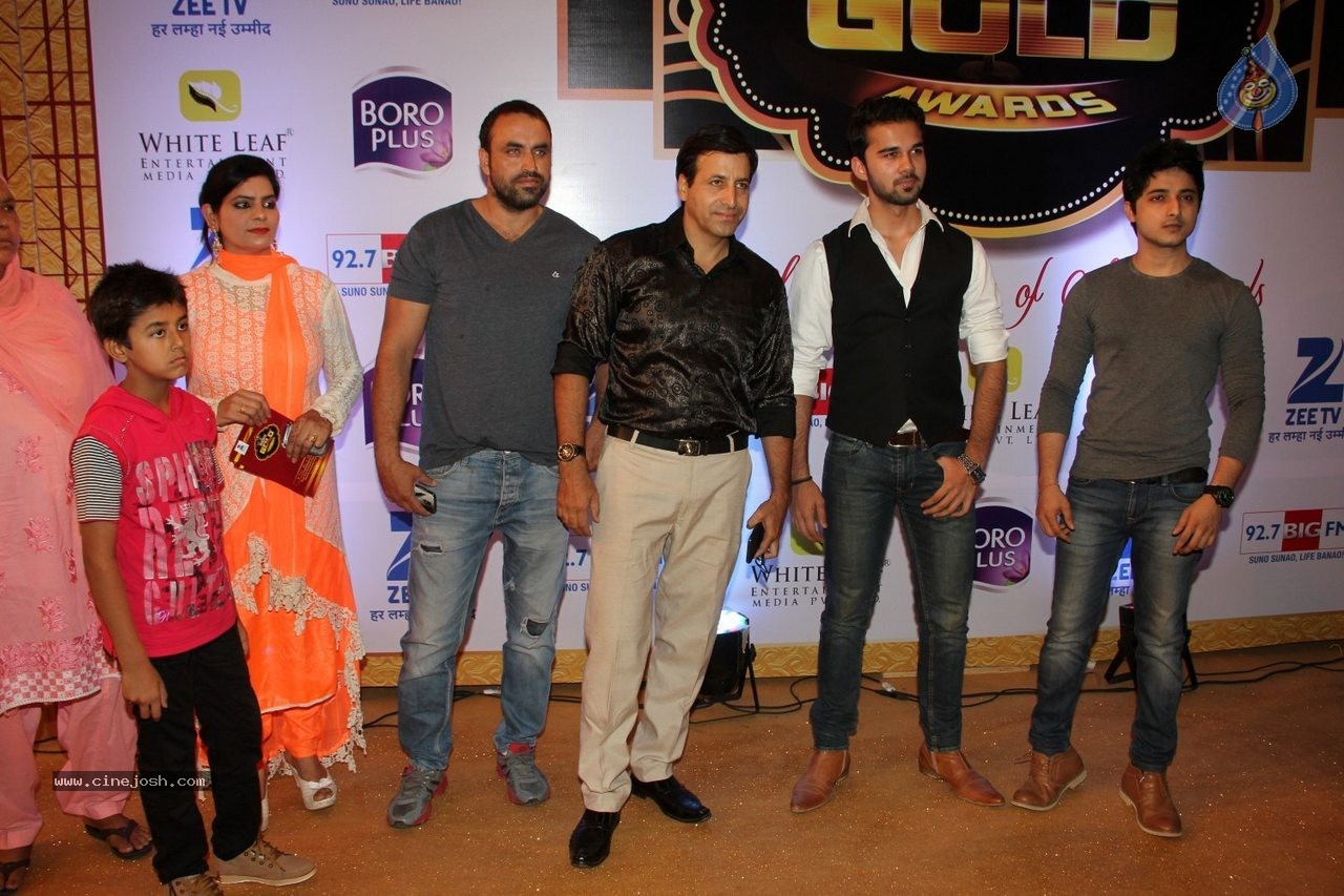 ZEE TV 8th Boroplus Gold Awards 2015 - 45 / 99 photos