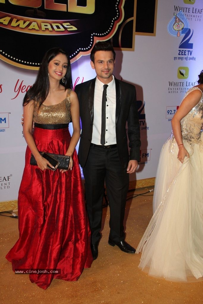 ZEE TV 8th Boroplus Gold Awards 2015 - 53 / 99 photos