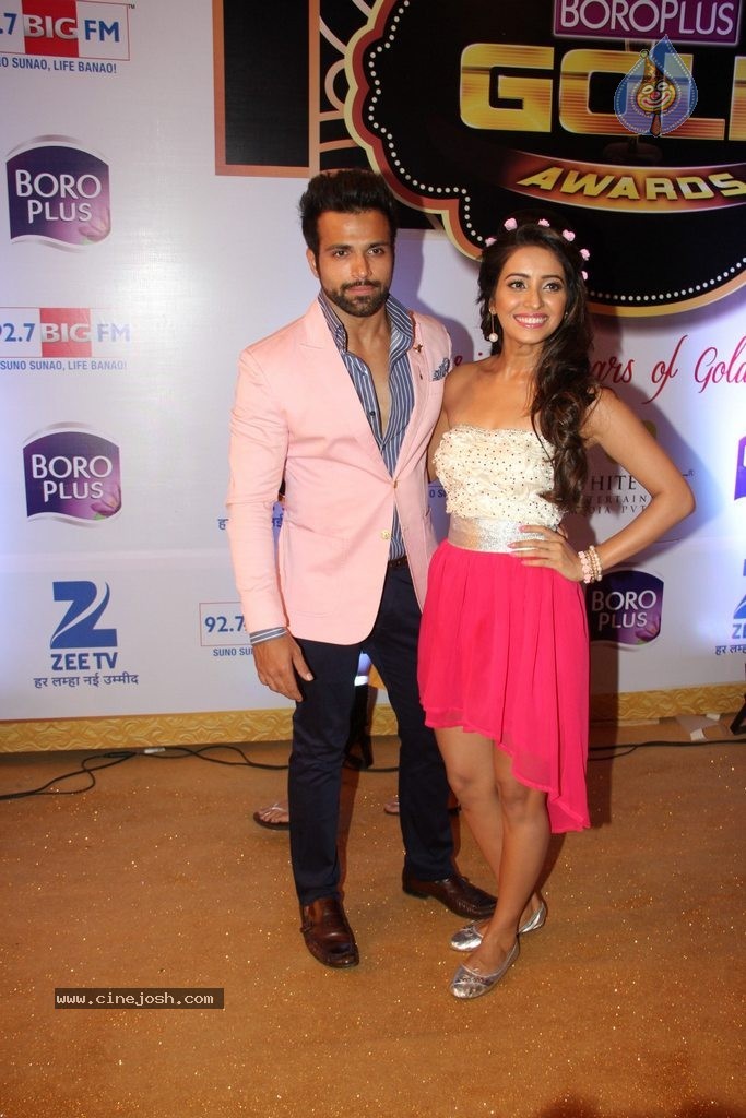 ZEE TV 8th Boroplus Gold Awards 2015 - 55 / 99 photos