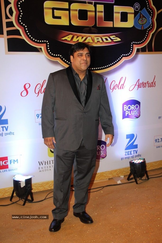 ZEE TV 8th Boroplus Gold Awards 2015 - 59 / 99 photos