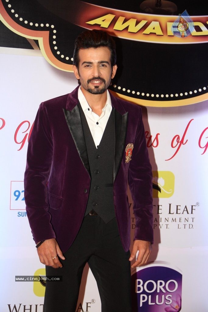 ZEE TV 8th Boroplus Gold Awards 2015 - 60 / 99 photos