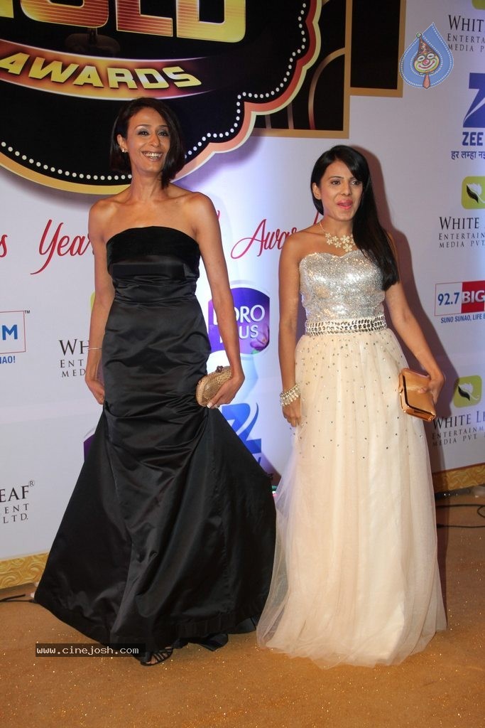 ZEE TV 8th Boroplus Gold Awards 2015 - 62 / 99 photos
