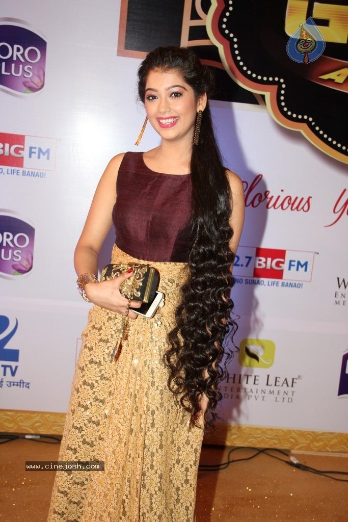 ZEE TV 8th Boroplus Gold Awards 2015 - 63 / 99 photos