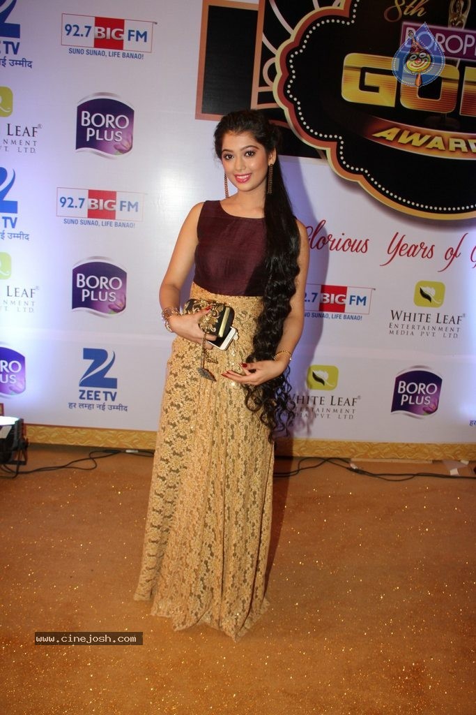 ZEE TV 8th Boroplus Gold Awards 2015 - 64 / 99 photos