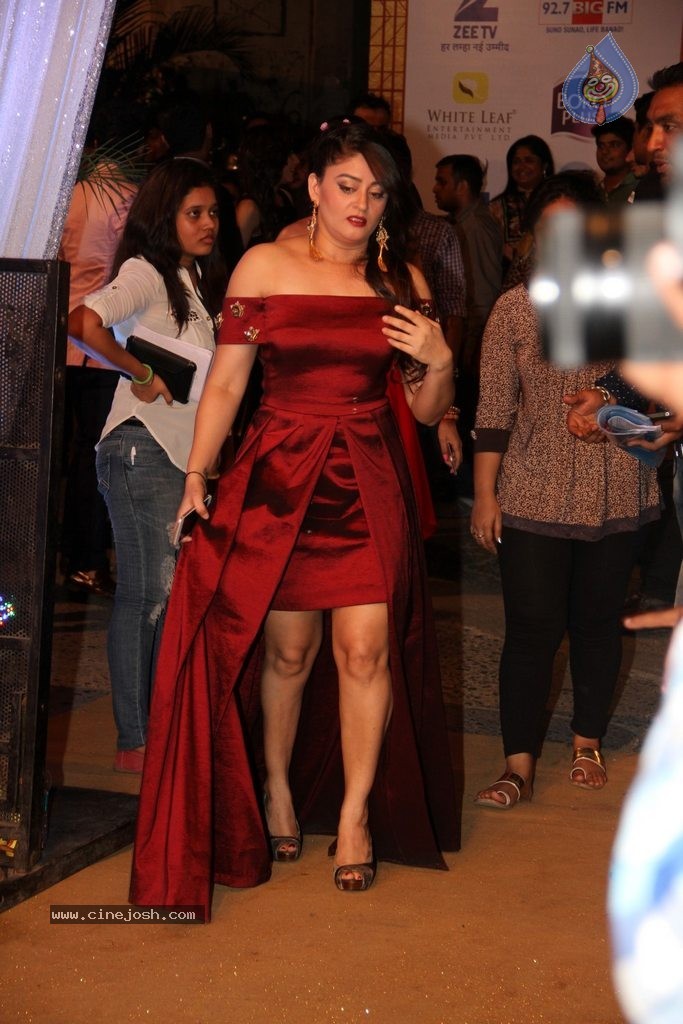 ZEE TV 8th Boroplus Gold Awards 2015 - 69 / 99 photos