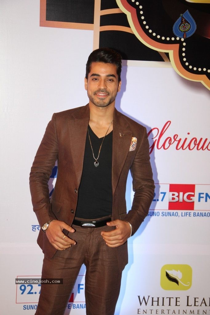 ZEE TV 8th Boroplus Gold Awards 2015 - 76 / 99 photos